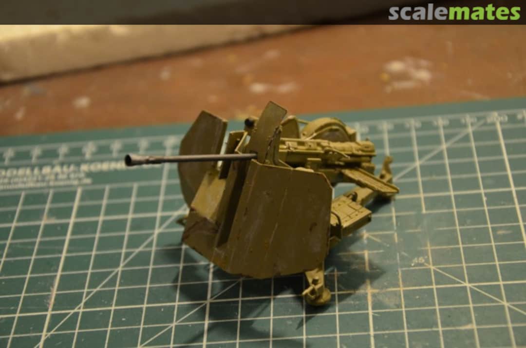 View album, image #1 View album, image #1