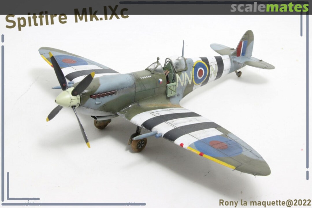 View album, image #41 View album, image #41