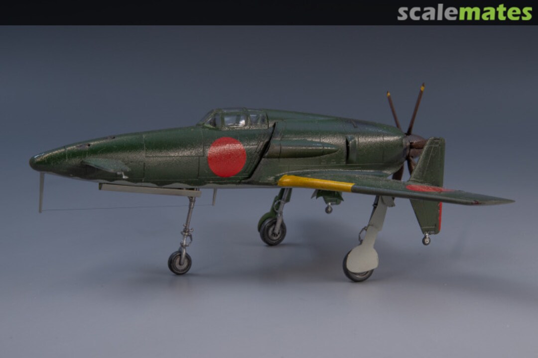 View album, image #1 View album, image #1