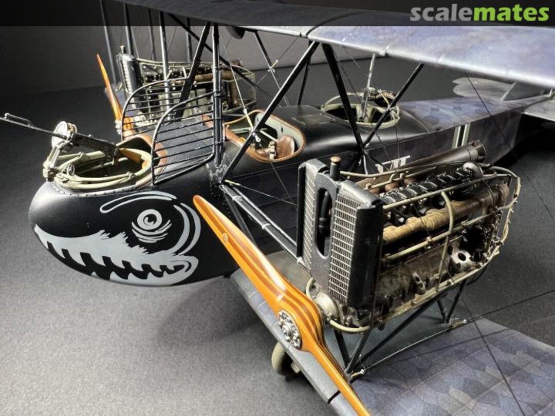 View album, image #1 View album, image #1