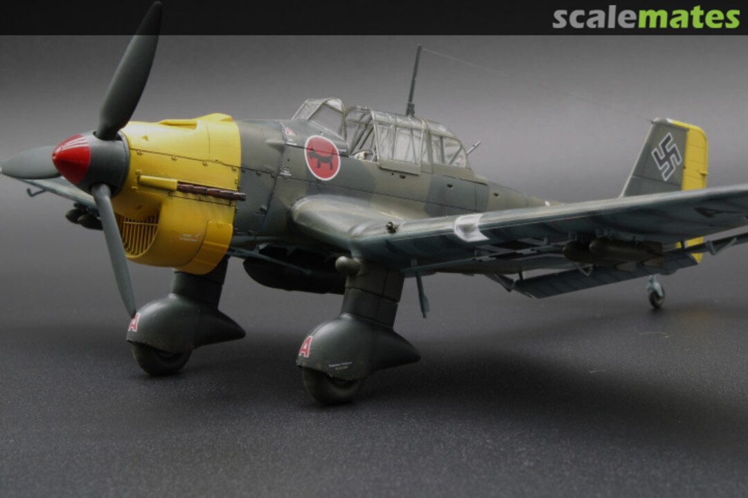 View album, image #6