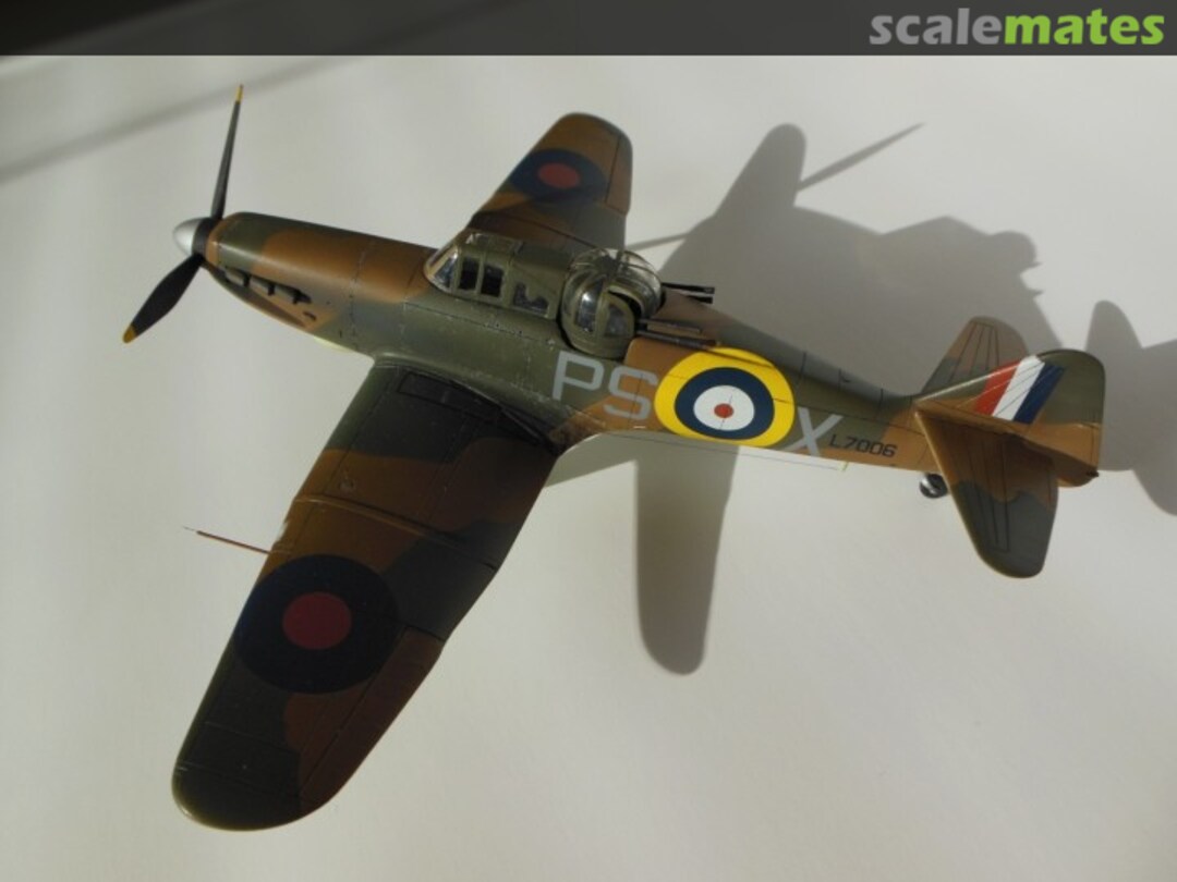 View album, image #1