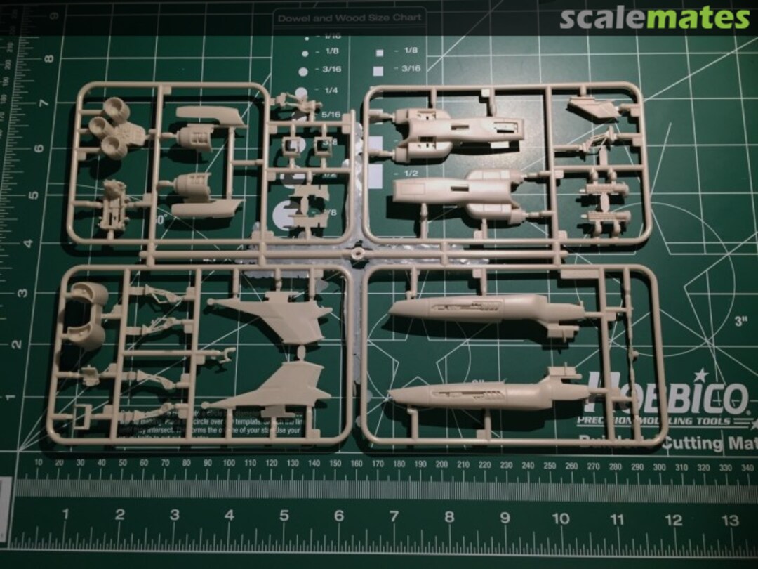 View album, image #1