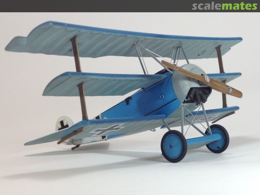 View album, image #12 View album, image #12