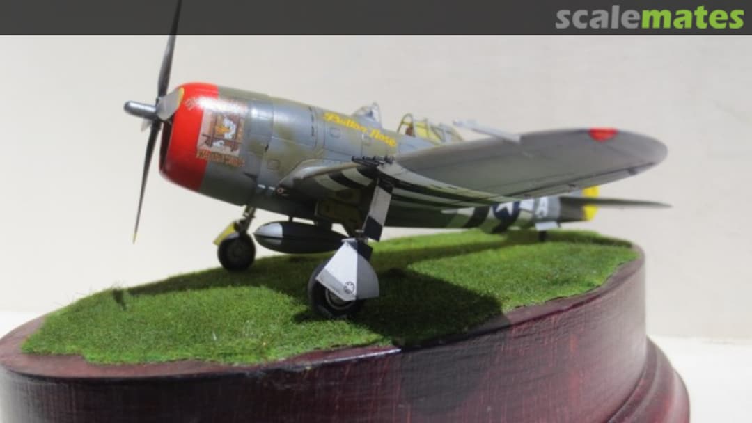 View album, image #5