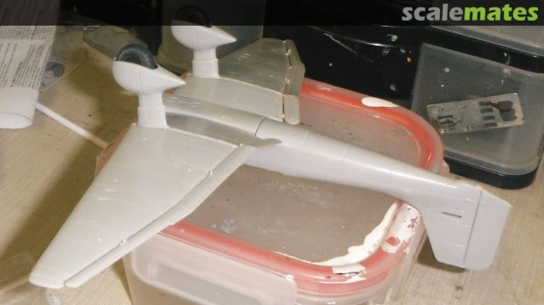 View album, image #1 View album, image #1