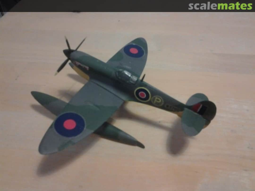 View album, image #1 View album, image #1