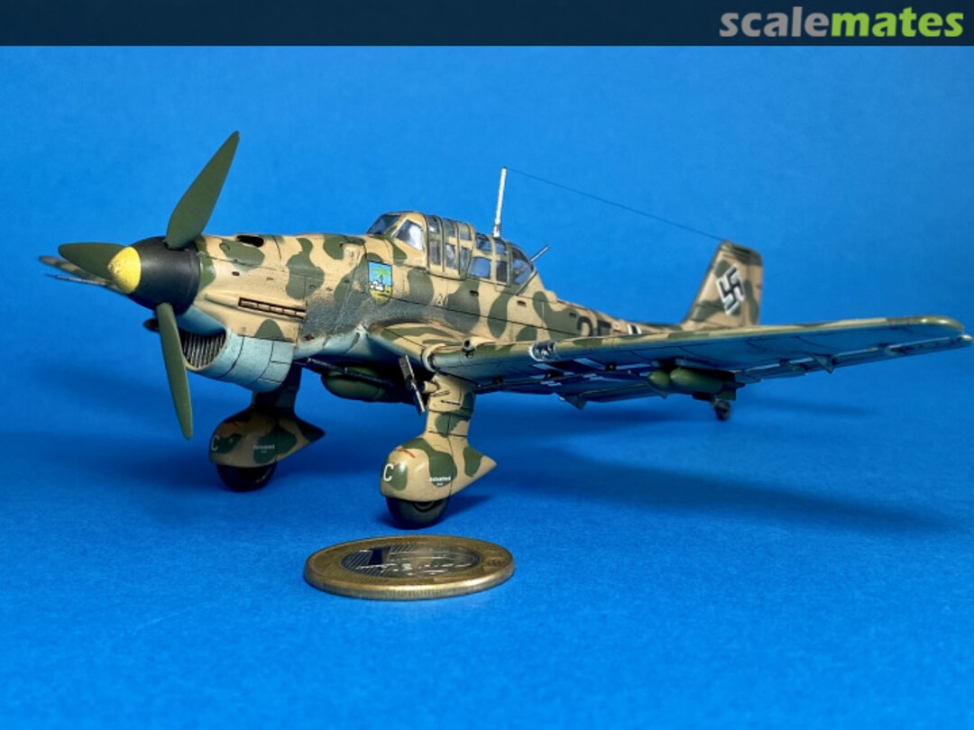 View album, image #1 View album, image #1