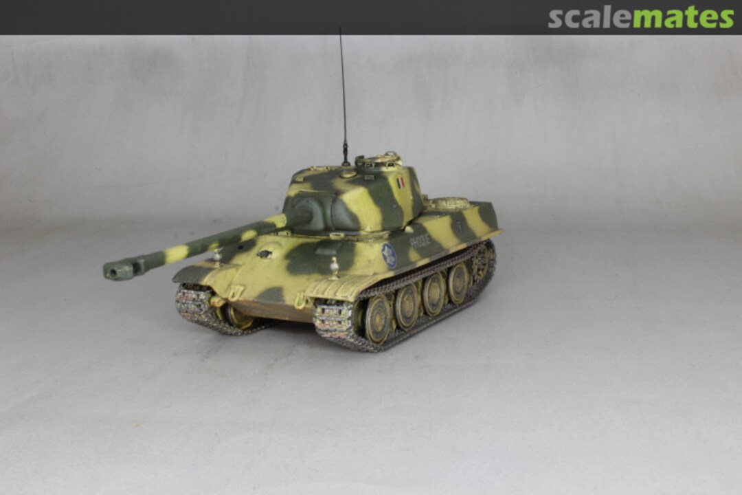 View album, image #1 View album, image #1