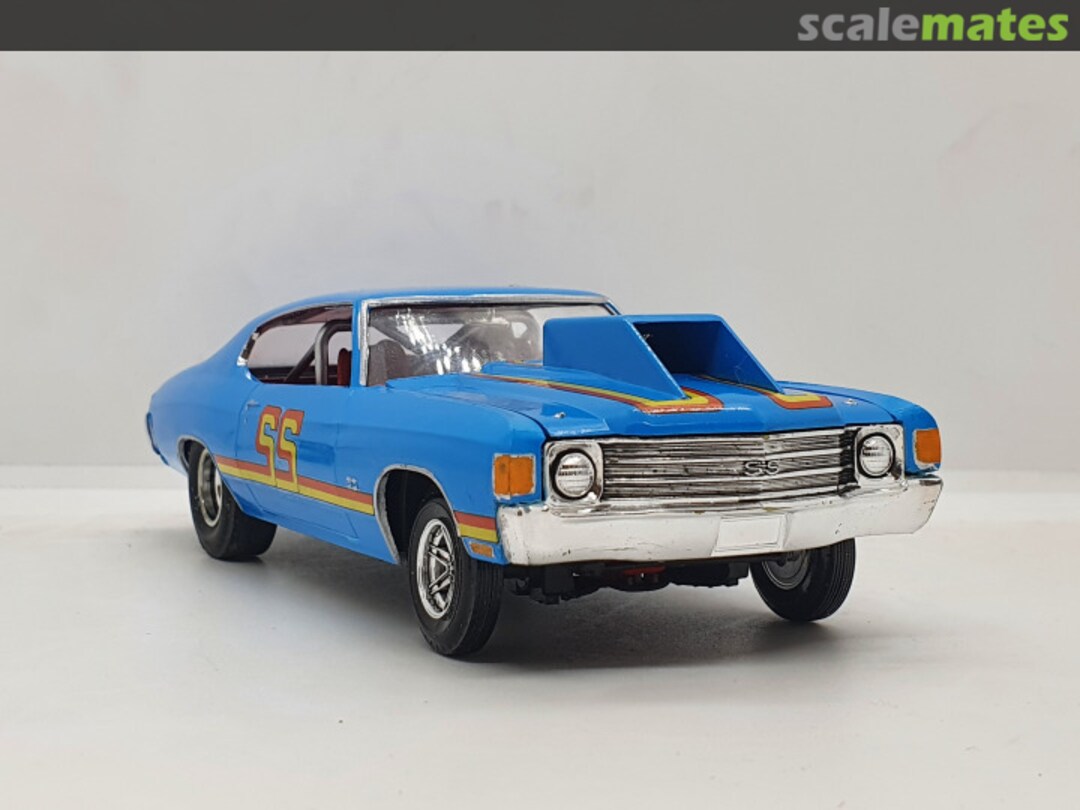 View album, image #17 View album, image #17