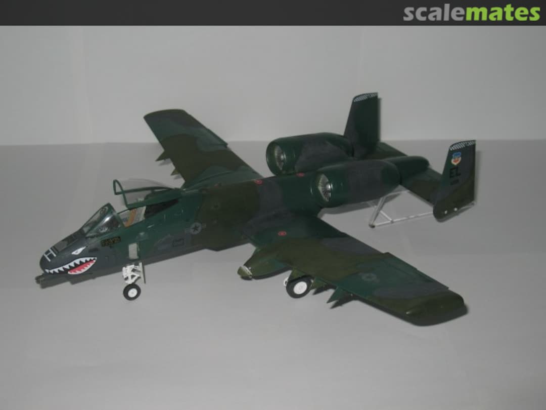 View album, image #1