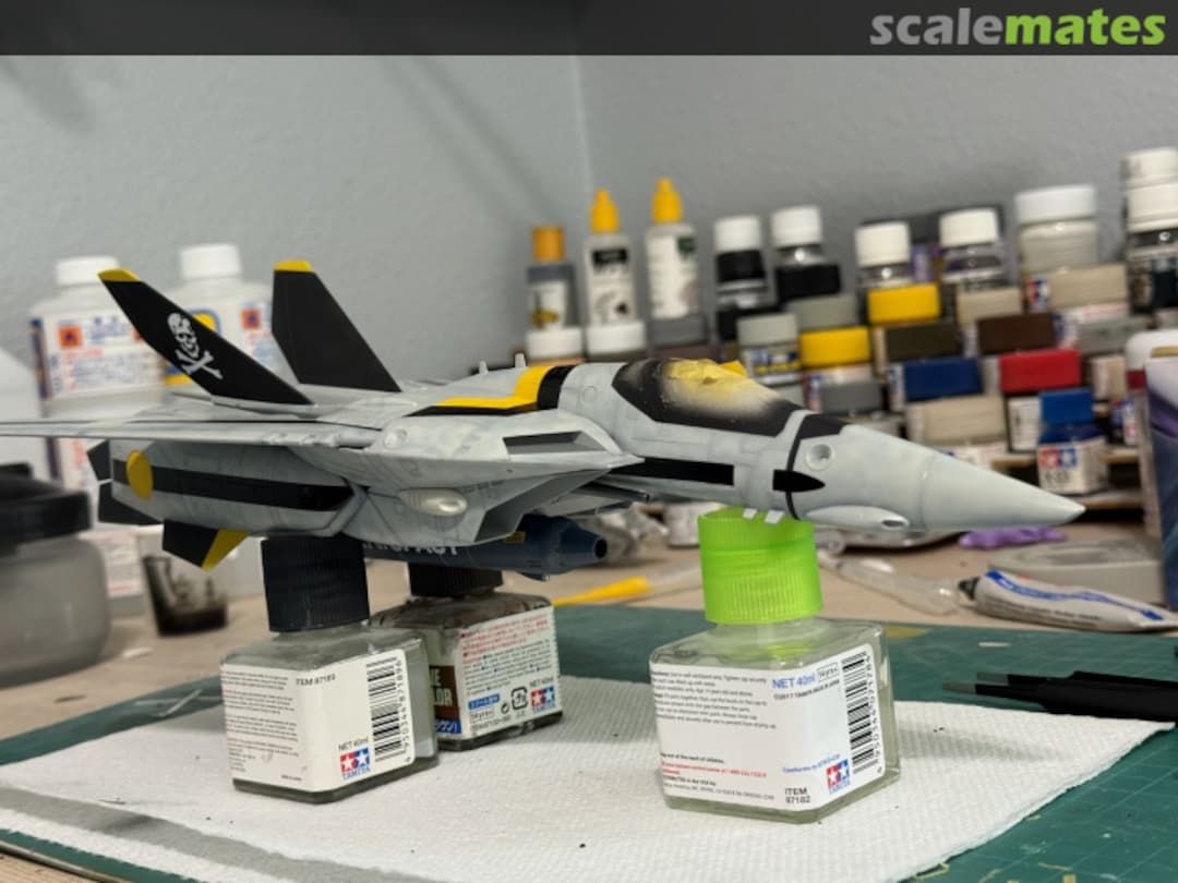 View album, image #1 View album, image #1