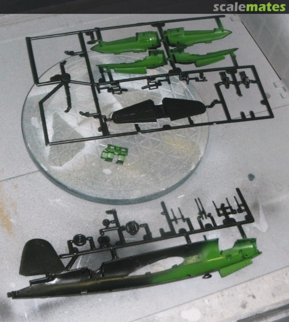 View album, image #1 View album, image #1