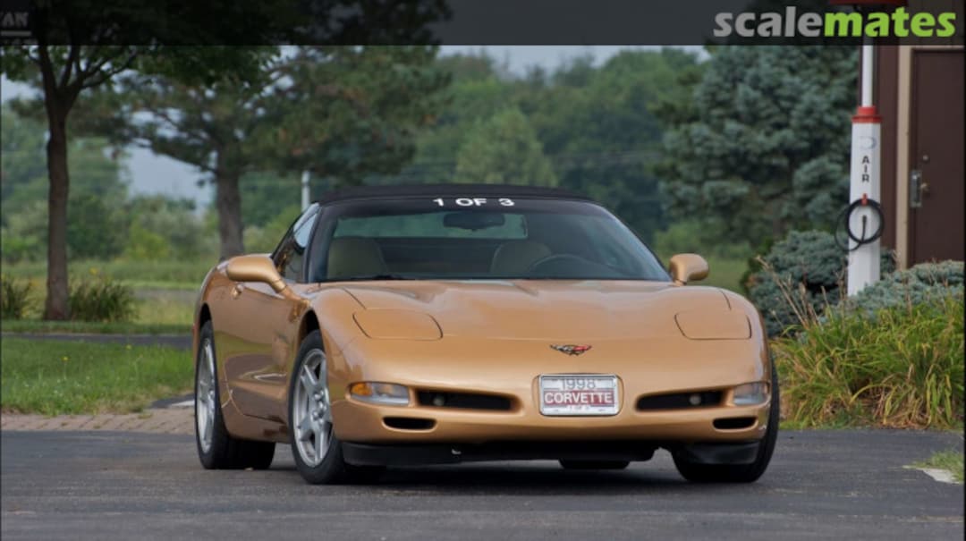 View album, image #1 View album, image #1