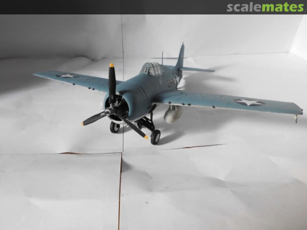 View album, image #1 View album, image #1