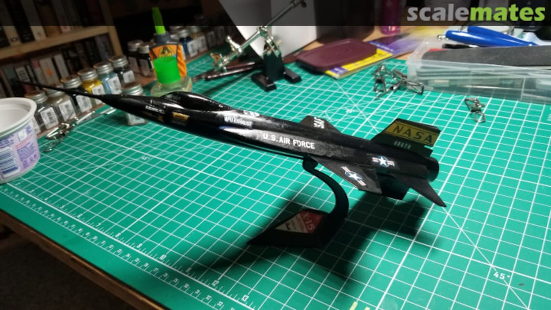 View album, image #1 View album, image #1