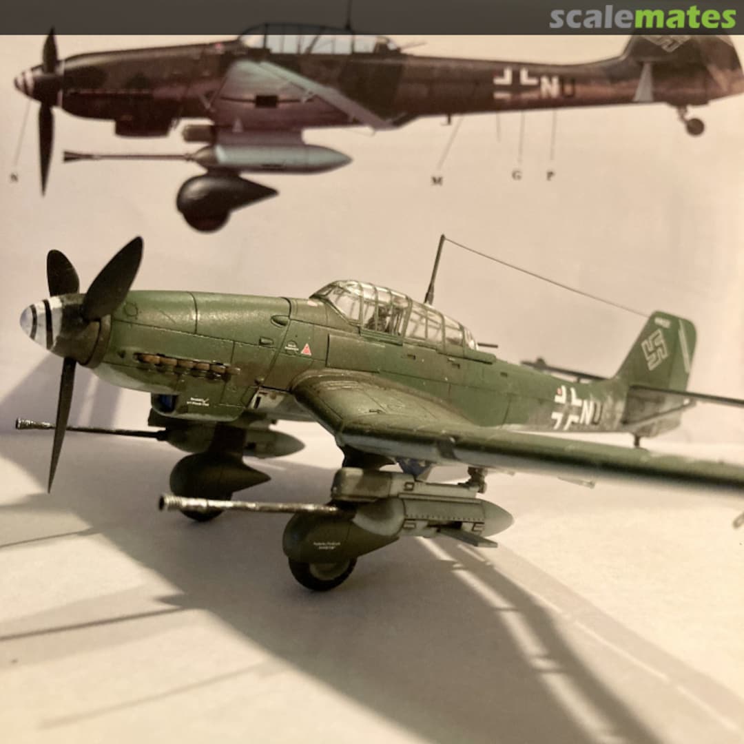 View album, image #11 View album, image #11