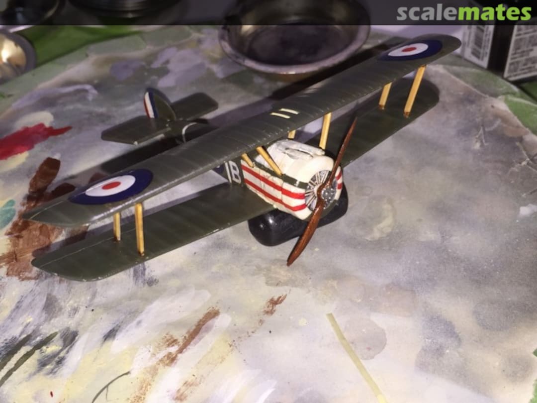 View album, image #11