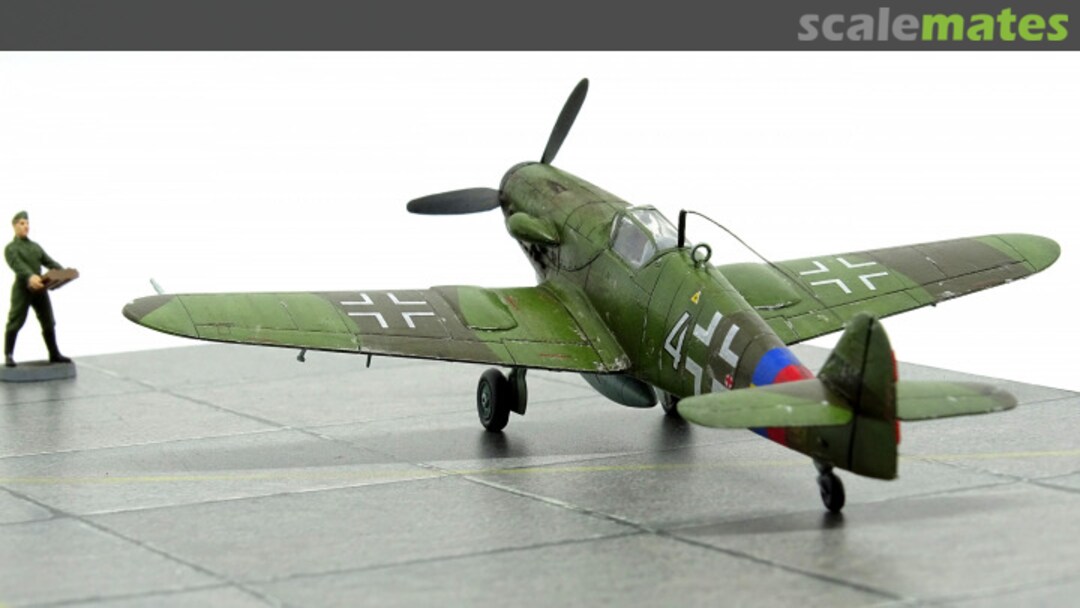 View album, image #1 View album, image #1