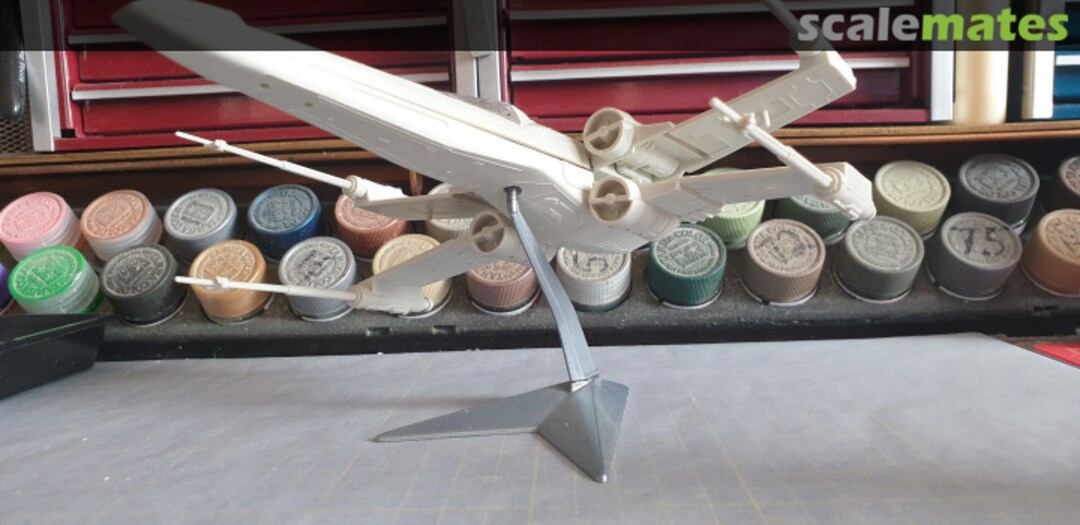 View album, image #7 View album, image #7