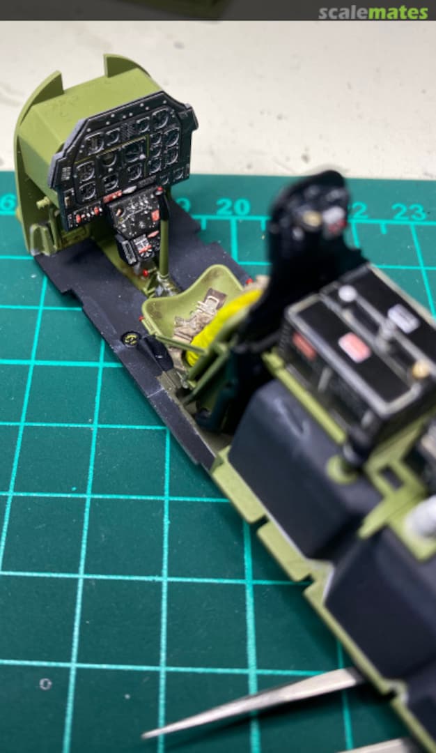 View album, image #1 View album, image #1