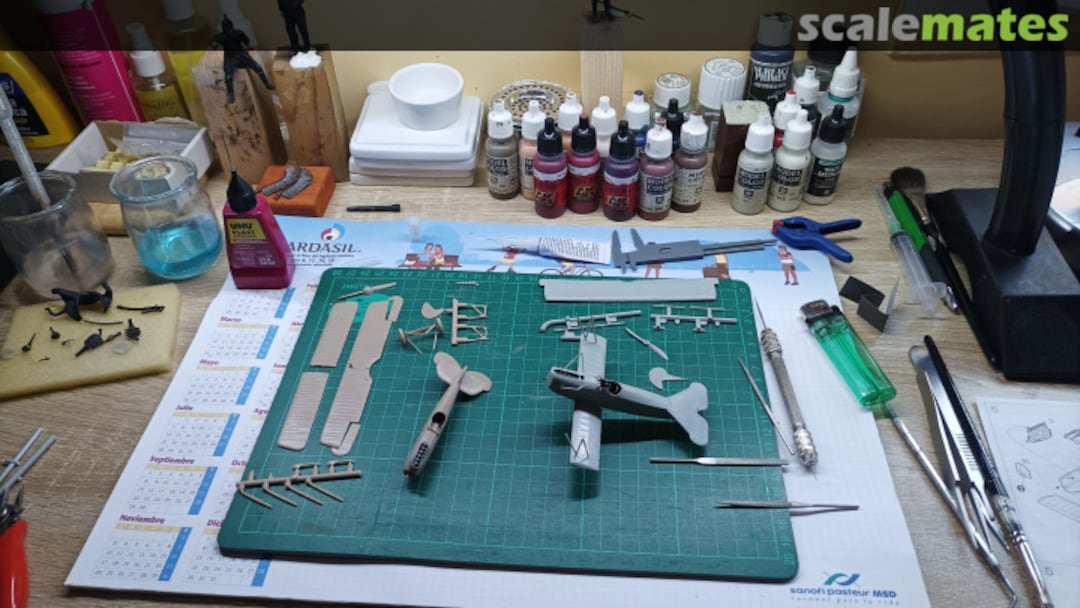 View album, image #1 View album, image #1