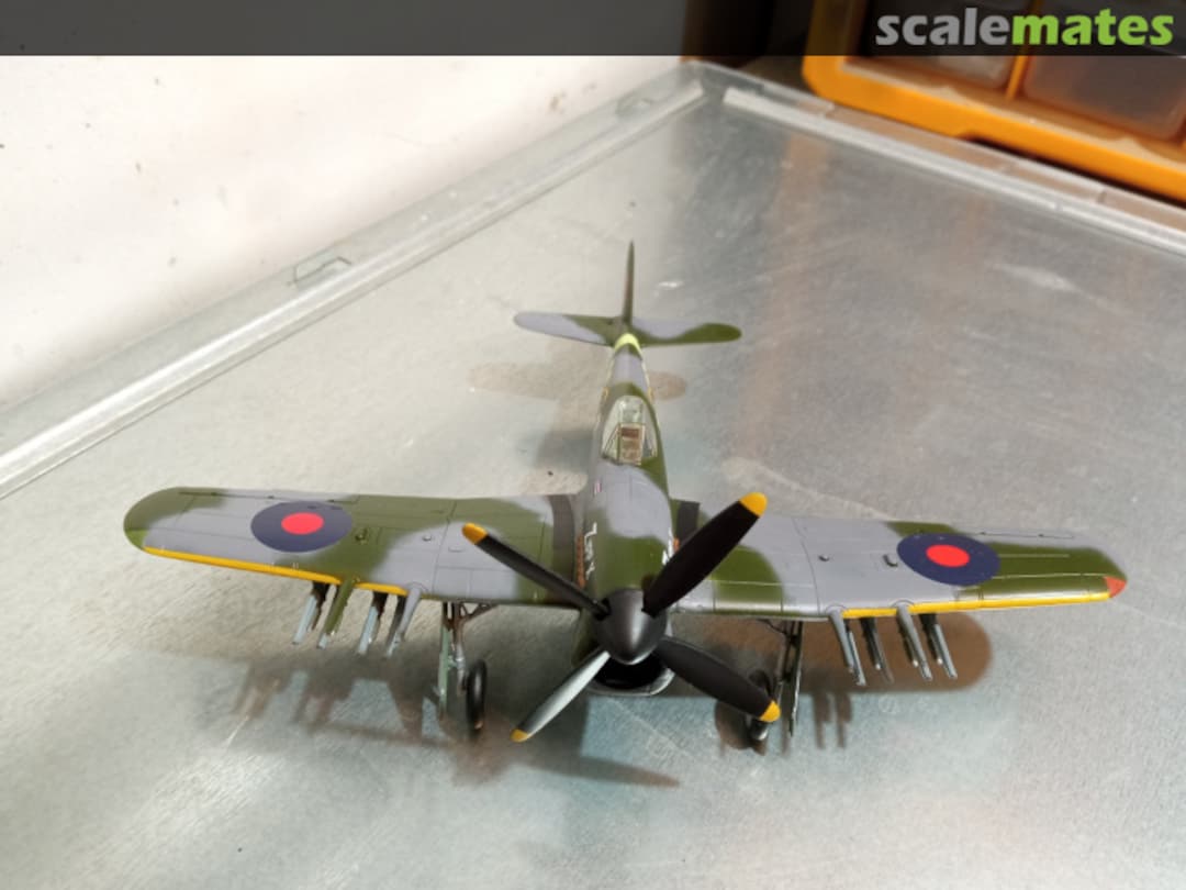 View album, image #13 View album, image #13