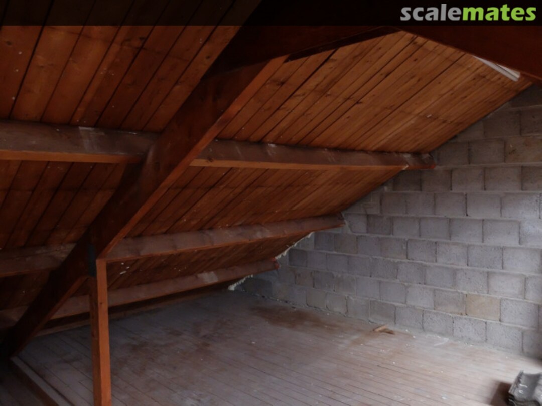 View album, image #1 View album, image #1