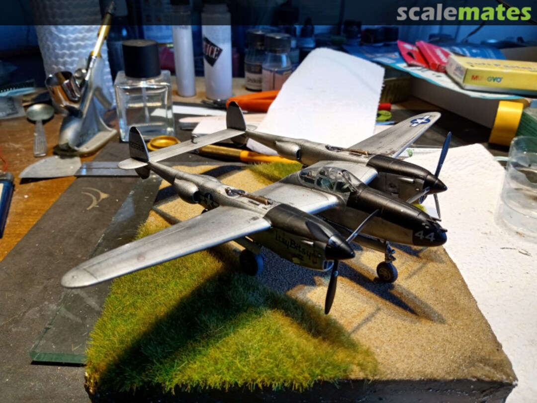 View album, image #1 View album, image #1