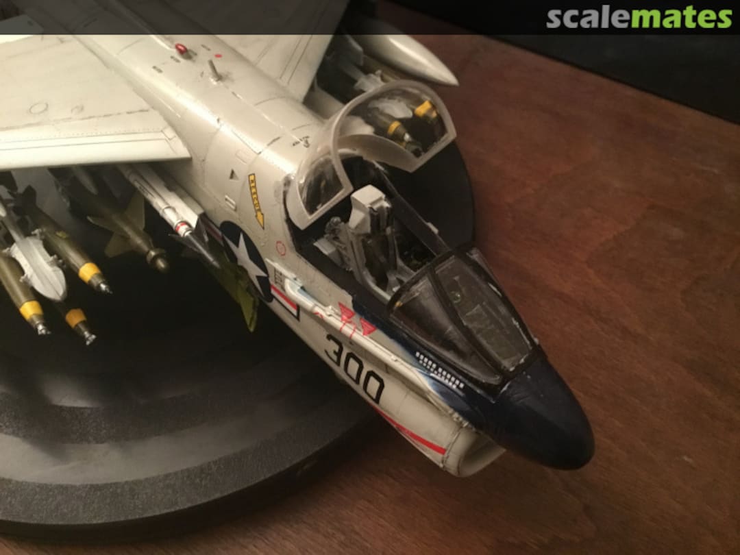 View album, image #1 View album, image #1