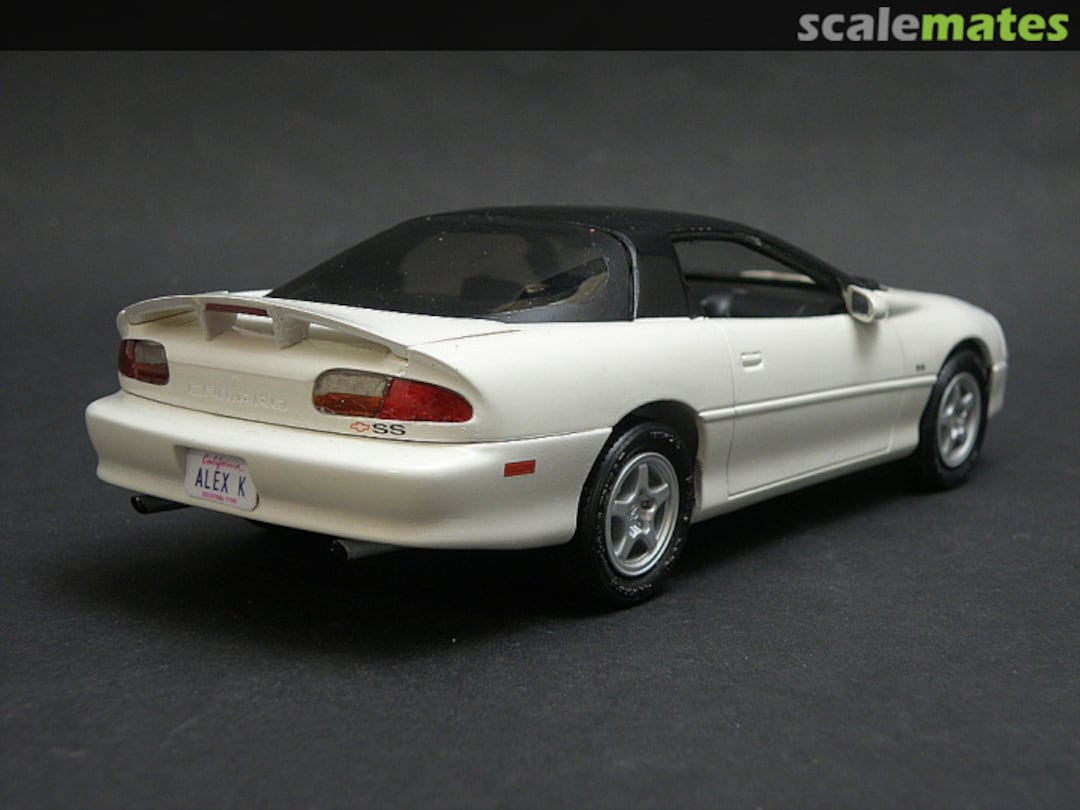 View album, image #4 View album, image #4