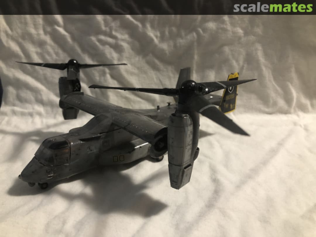 View album, image #1