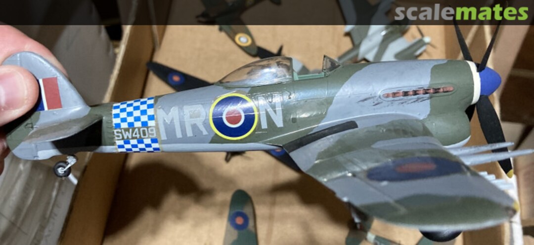 View album, image #1 View album, image #1