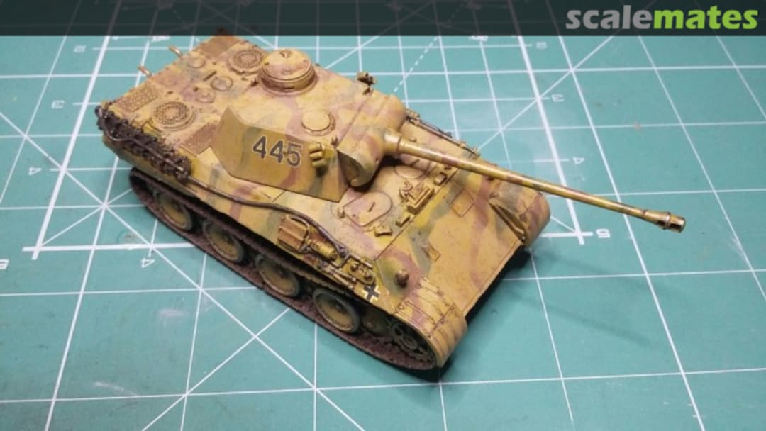 View album, image #11 View album, image #11