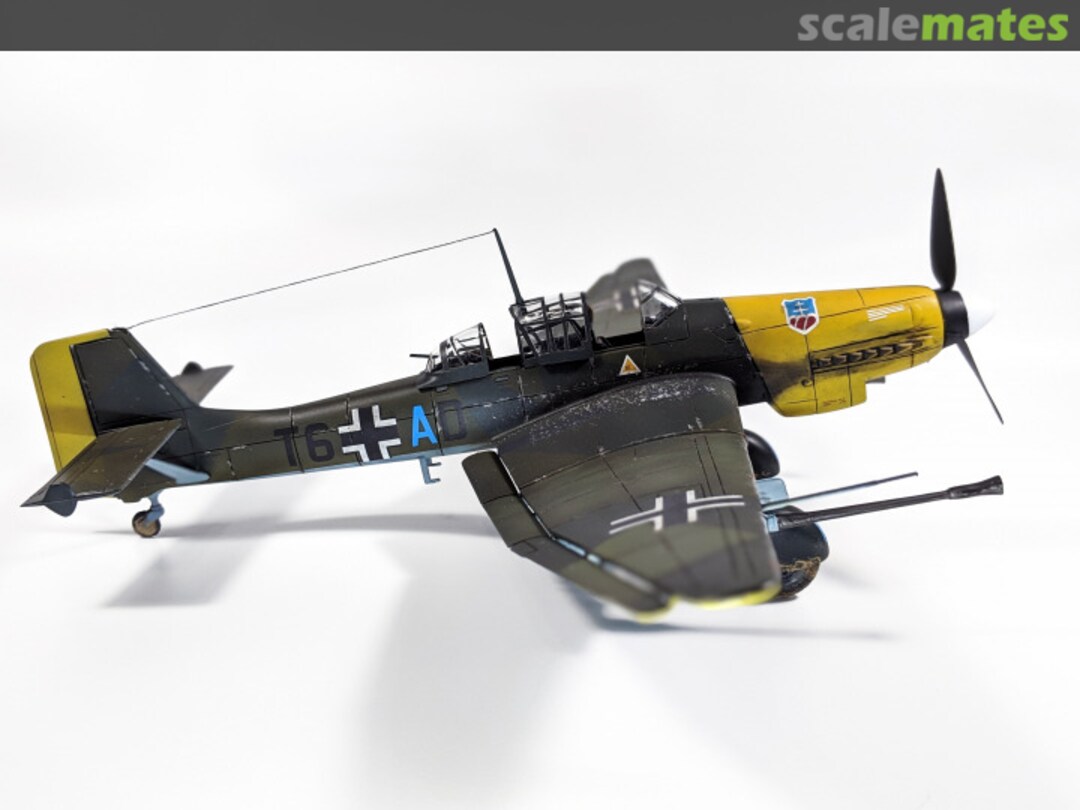 View album, image #1 View album, image #1