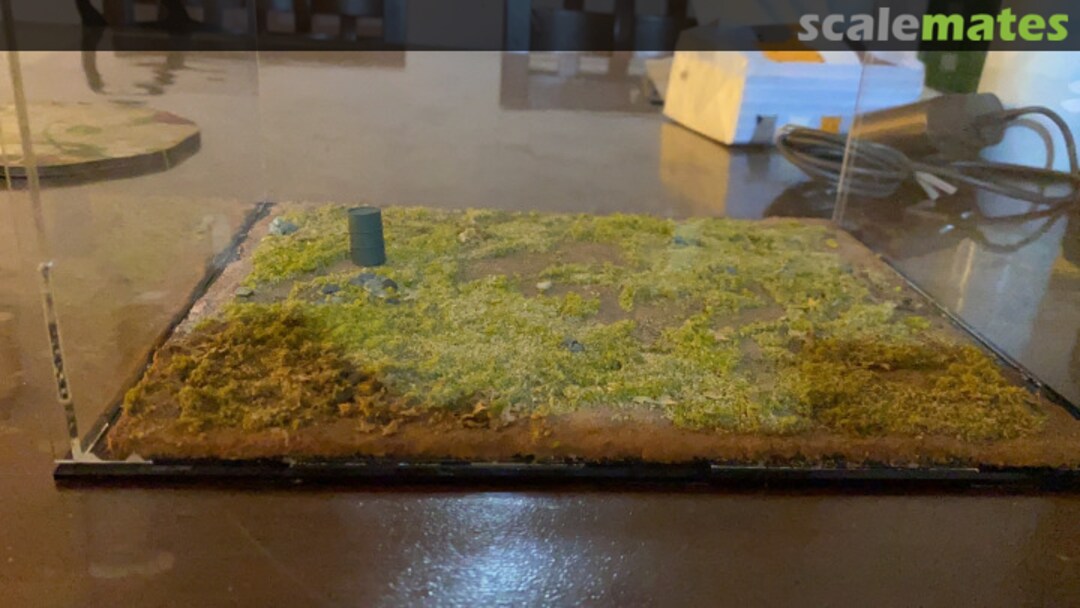 View album, image #1 View album, image #1