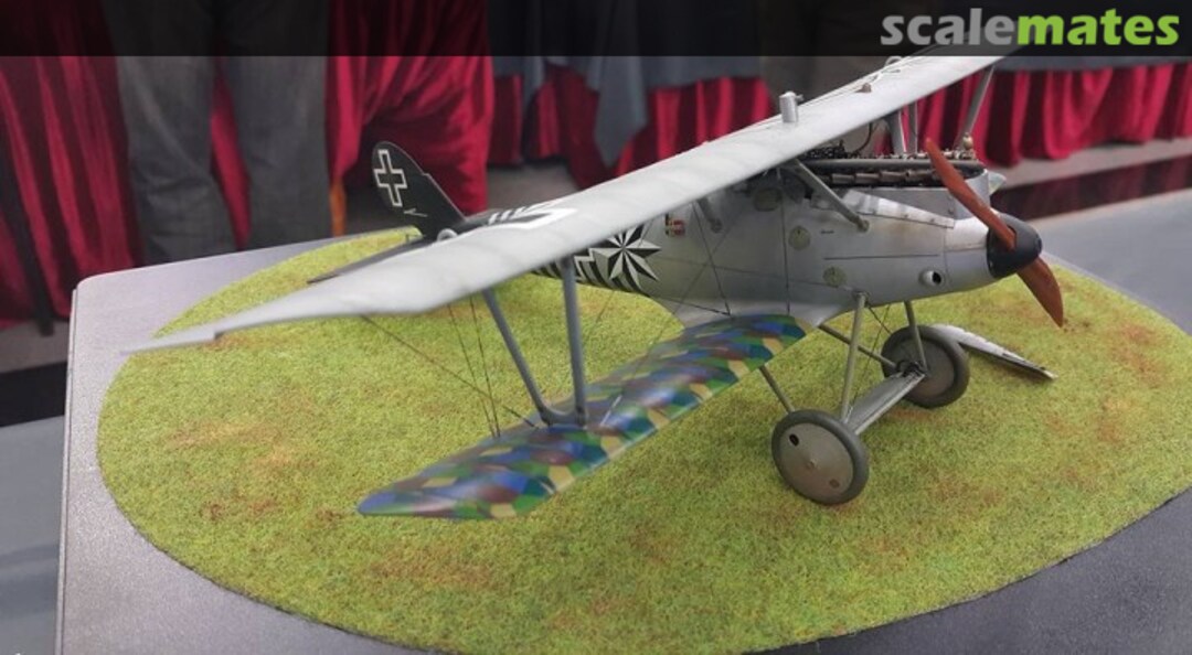 View album, image #1