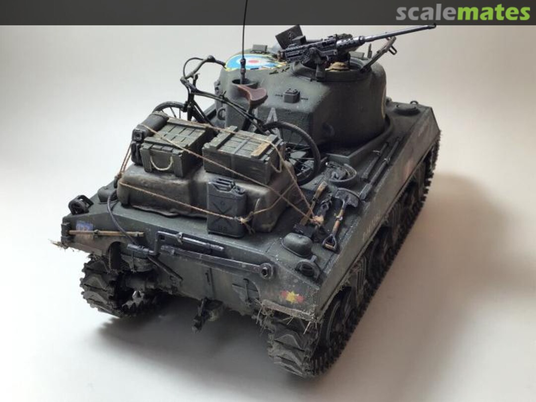 View album, image #1 View album, image #1