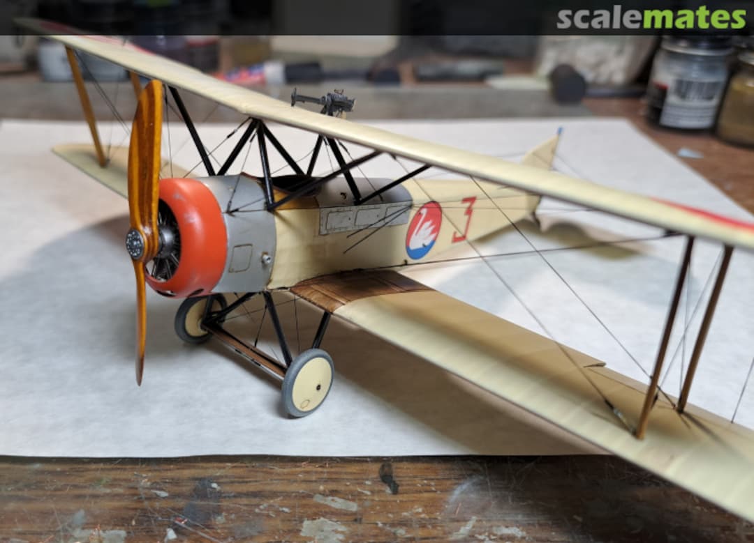 View album, image #5 View album, image #5