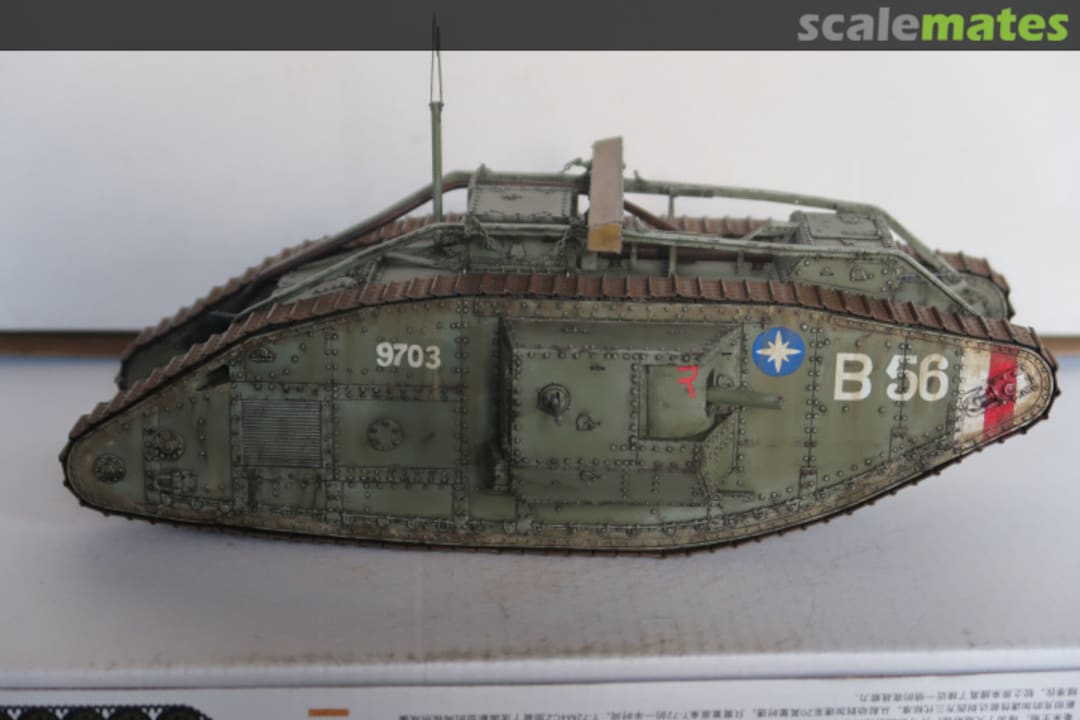 View album, image #1 View album, image #1