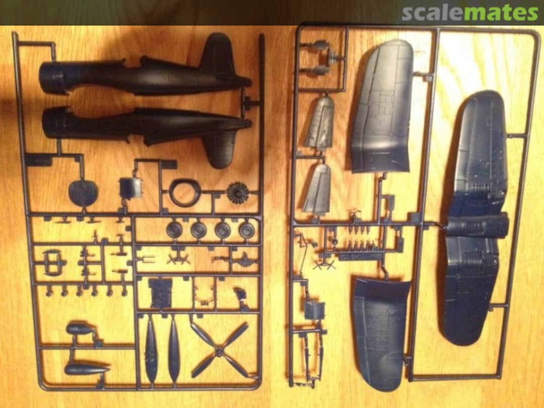 View album, image #1