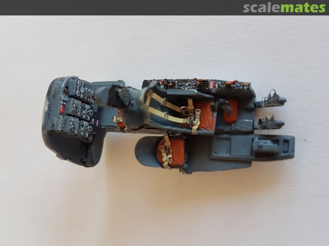 View album, image #12 View album, image #12