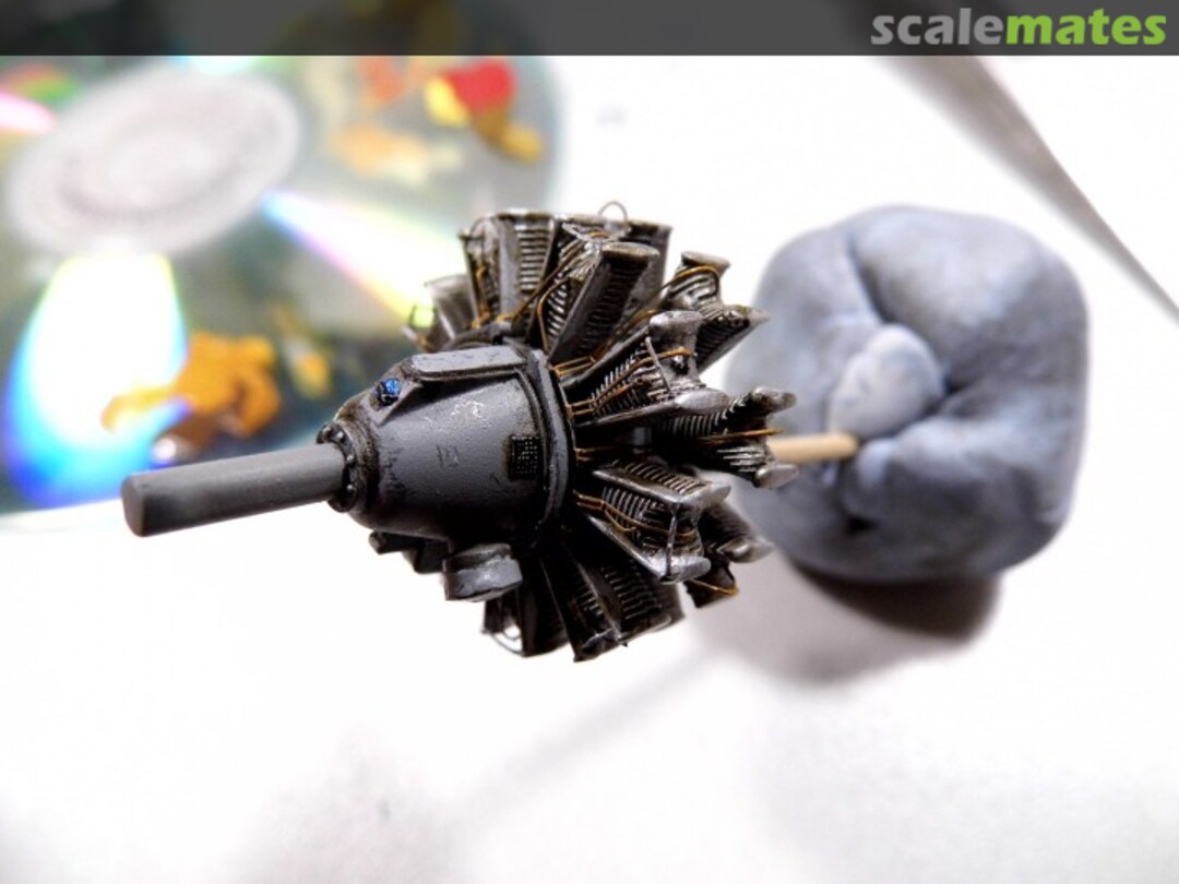 View album, image #1