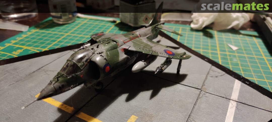 View album, image #11 View album, image #11