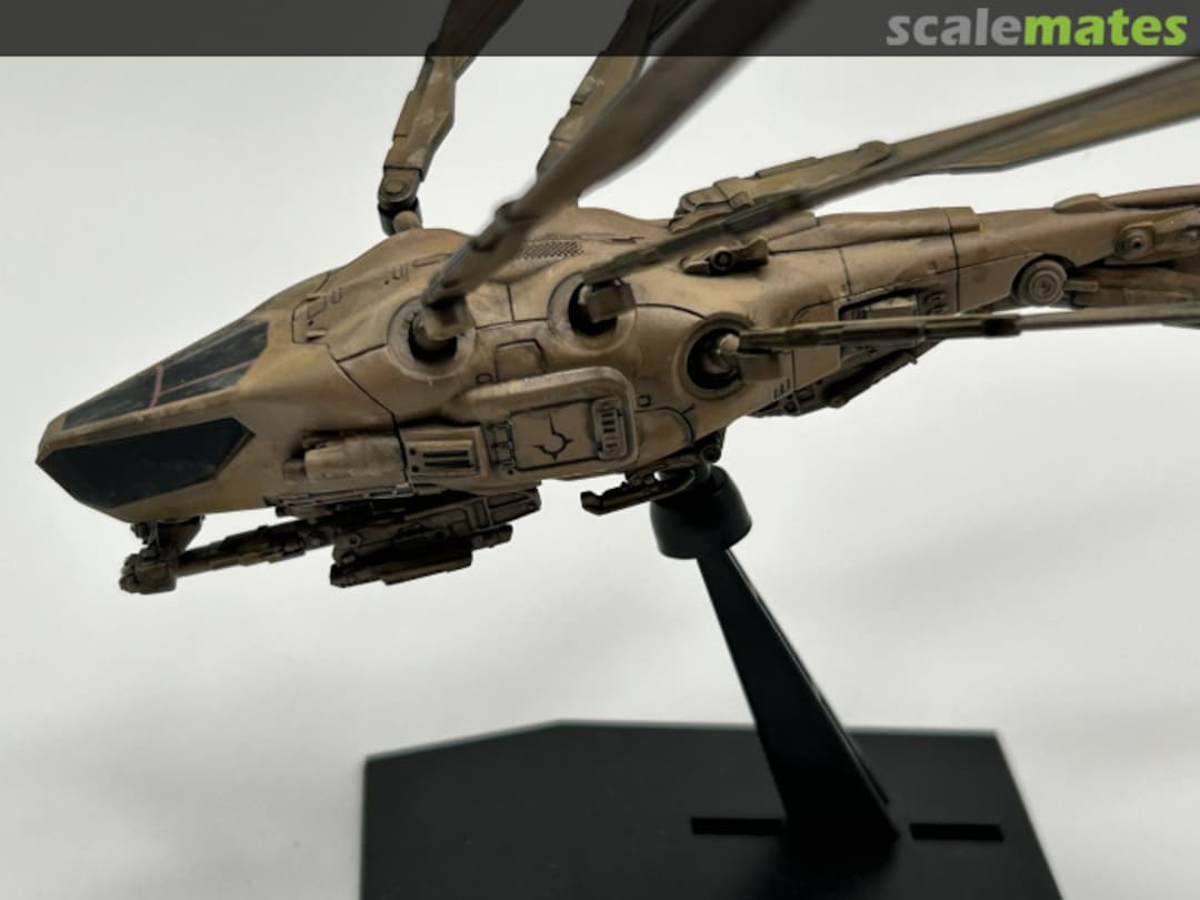 View album, image #11