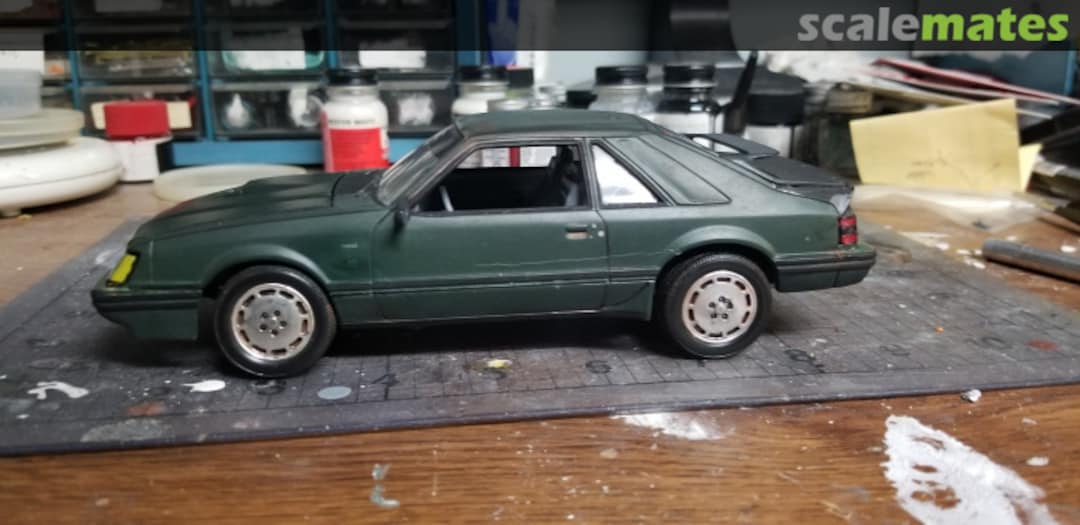 View album, image #29 View album, image #29