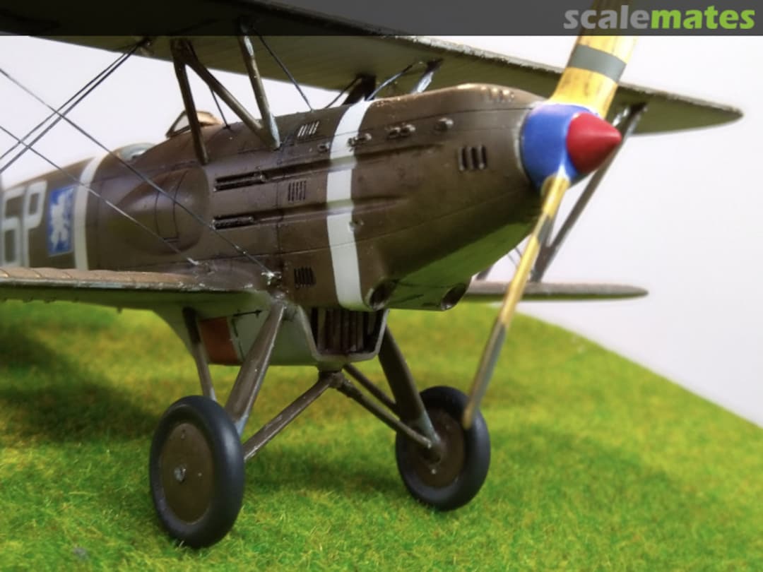 View album, image #1 View album, image #1