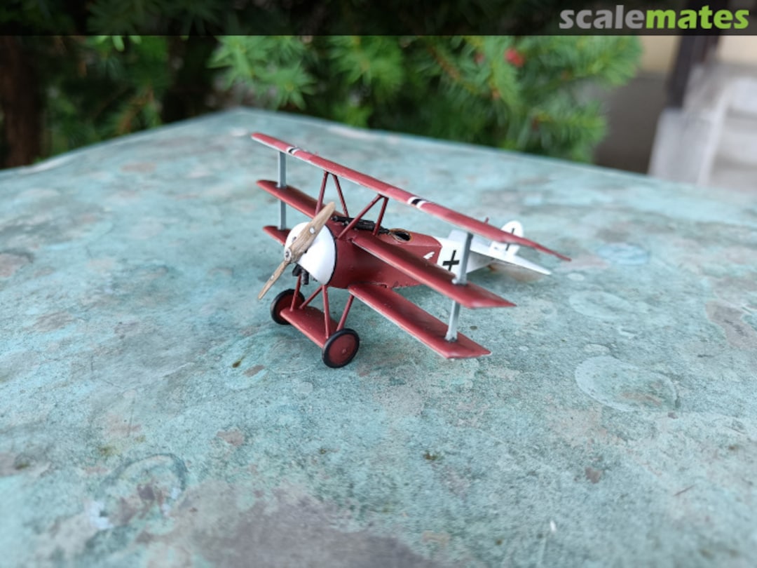 View album, image #1 View album, image #1