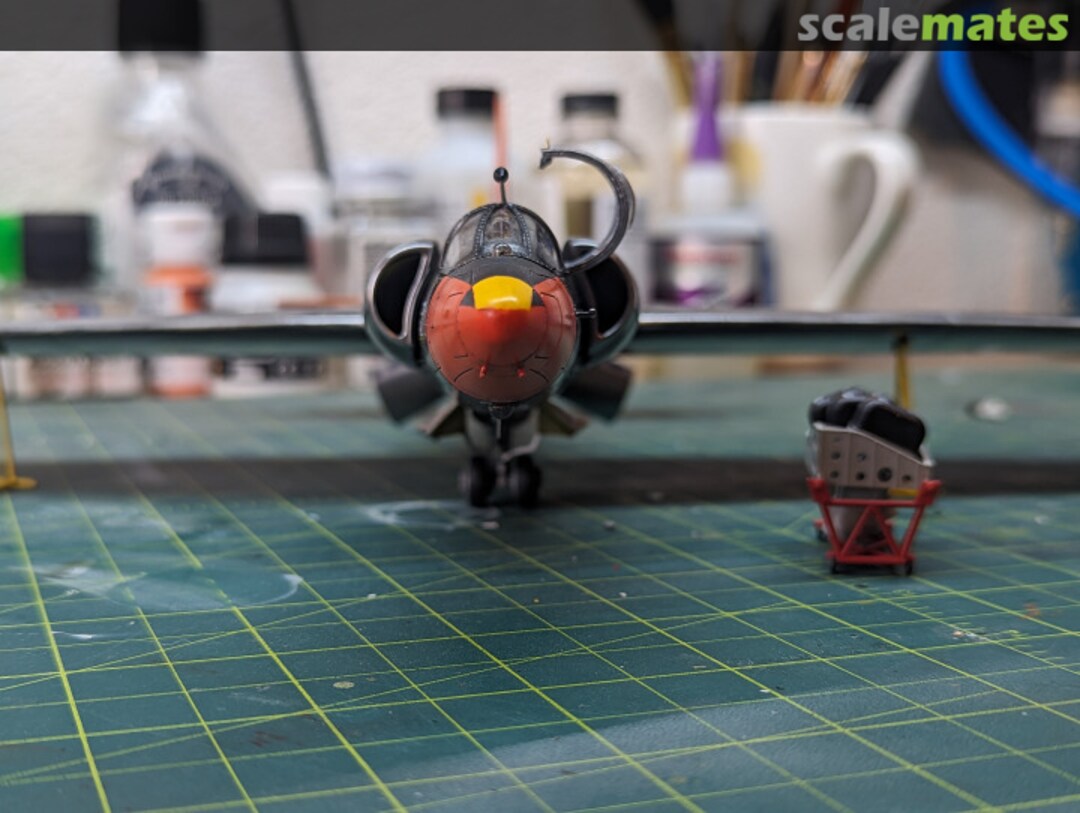 View album, image #1 View album, image #1