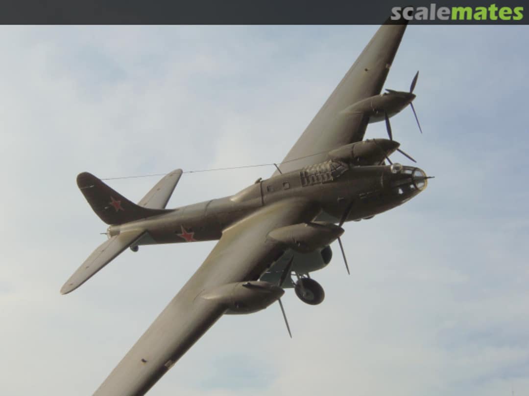 View album, image #1 View album, image #1